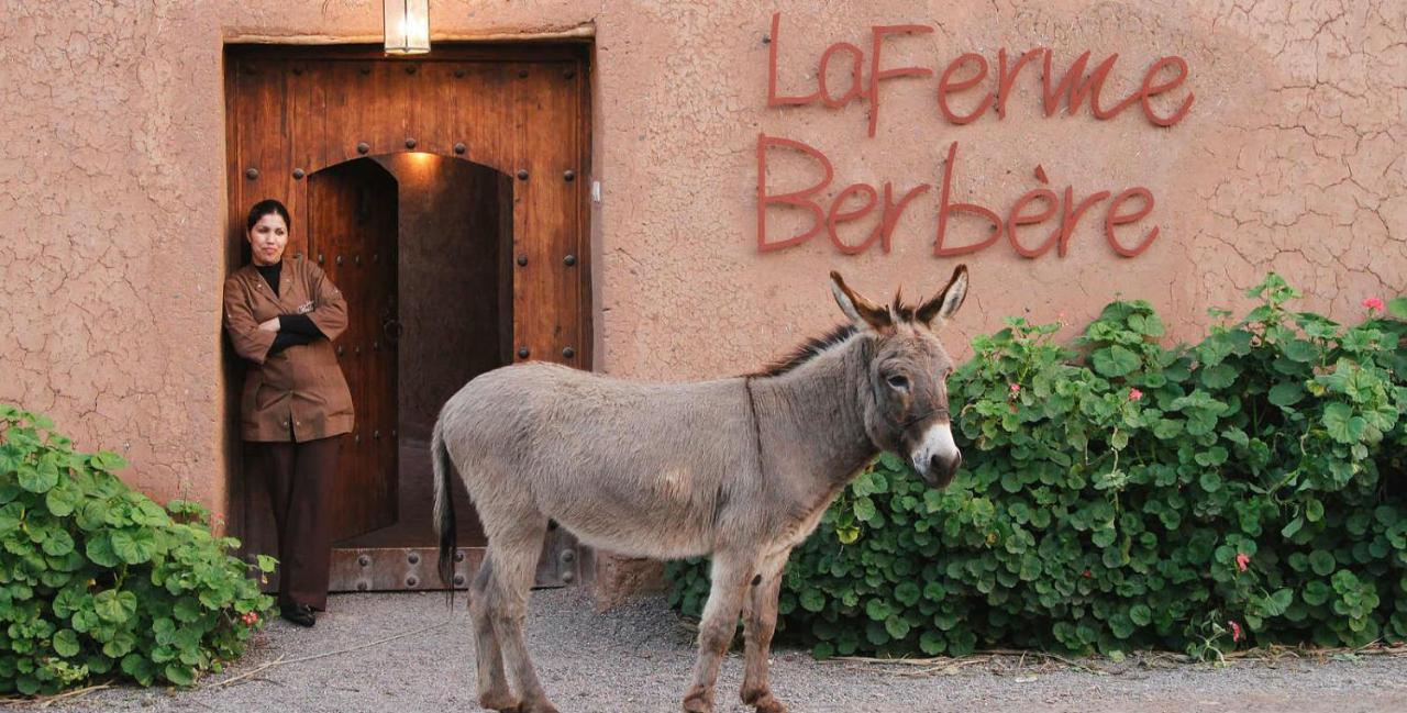 Bed and Breakfast La Ferme Berbere El Harkat Exterior foto