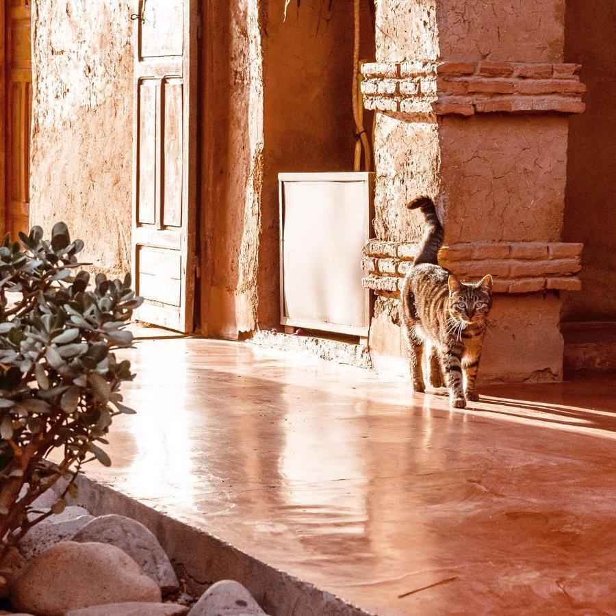 Bed and Breakfast La Ferme Berbere El Harkat Exterior foto