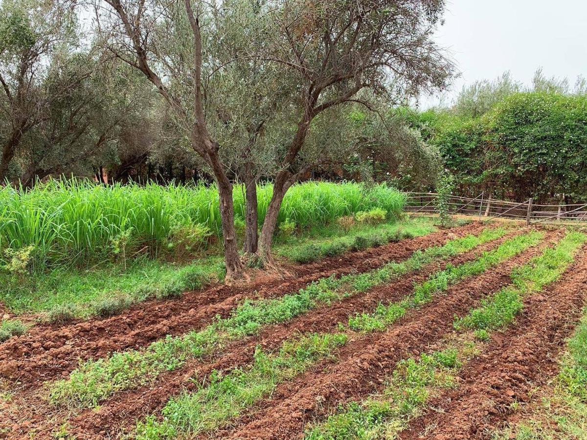 Bed and Breakfast La Ferme Berbere El Harkat Exterior foto